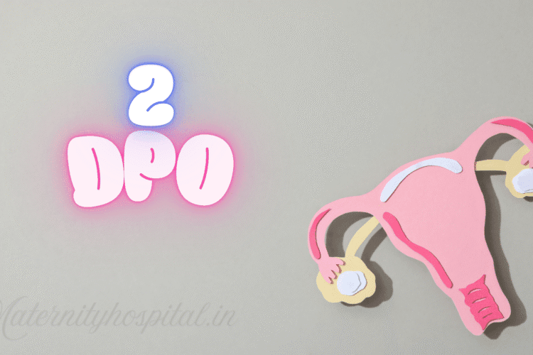 2 DPO Symptoms: What Really Happens Two Days After Ovulation?