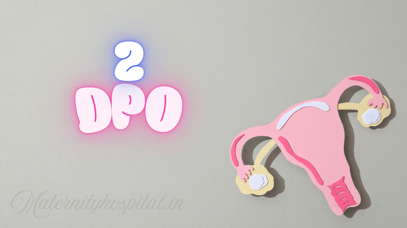 2 DPO Symptoms: What Really Happens Two Days After Ovulation?