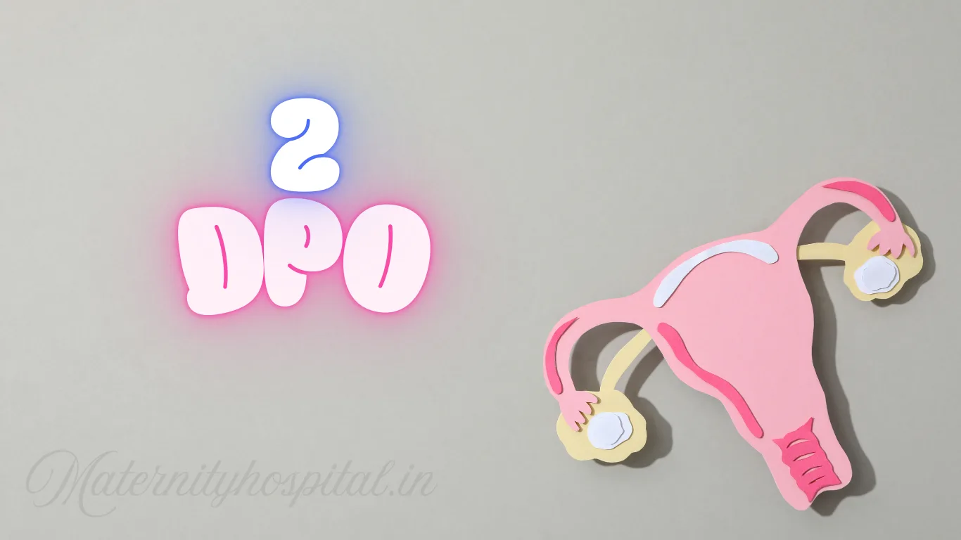 2 DPO Symptoms: What Really Happens Two Days After Ovulation?